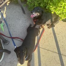 Sparkling Waters Restaurant restaurant view 1