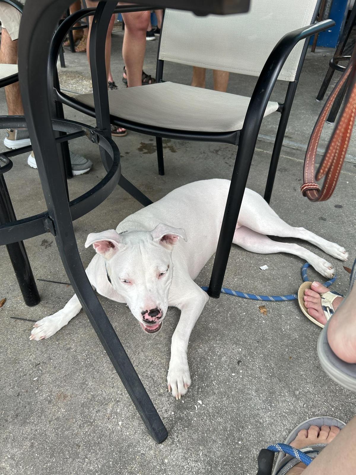 Rusty's Raw Bar & Grill - Cape Coral restaurant view 1