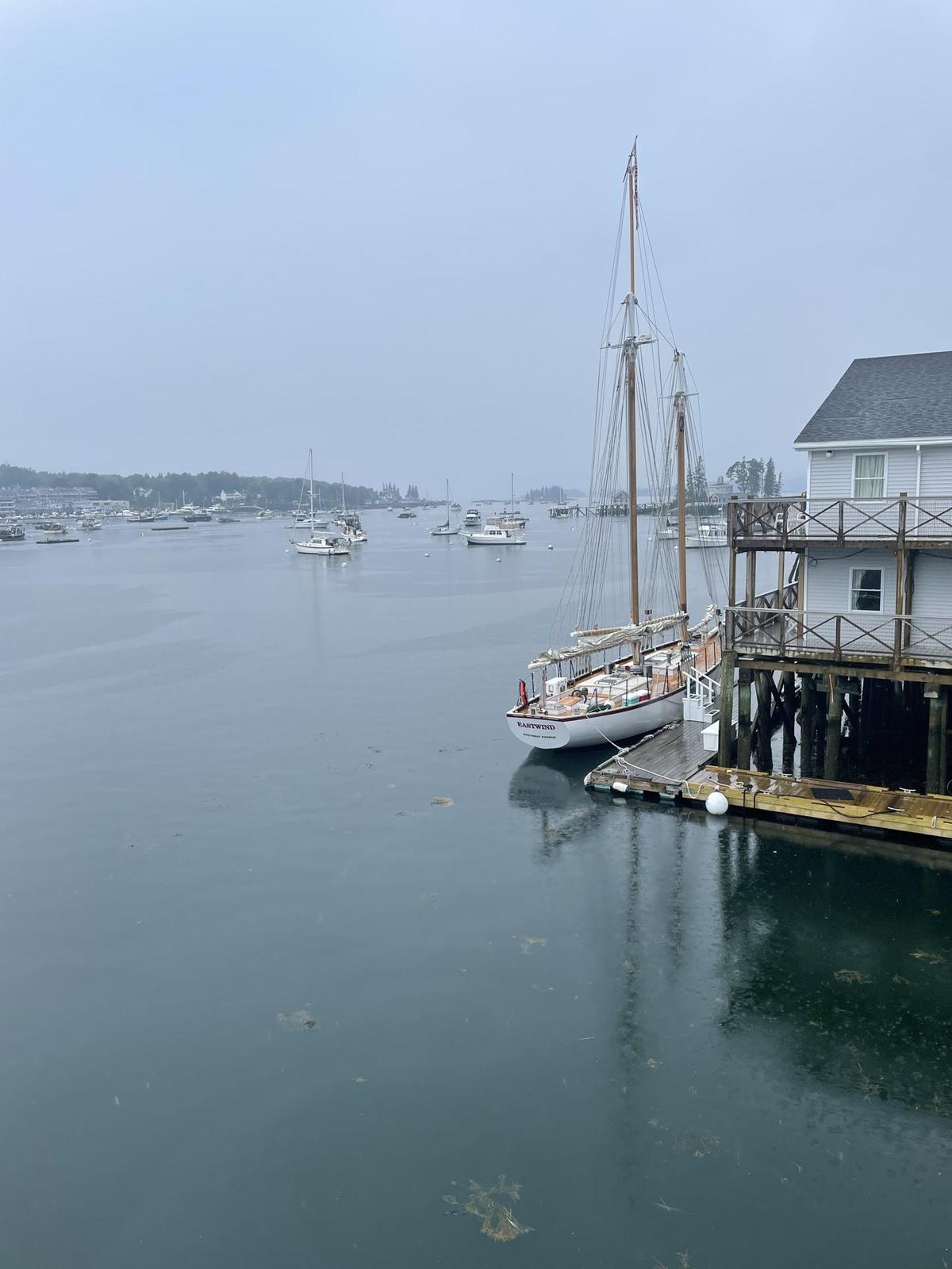 Mine Oyster restaurant view 1