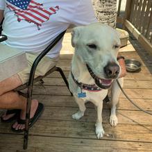 Castaways restaurant view 1