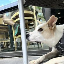 Wildflower Bread Company restaurant view 1