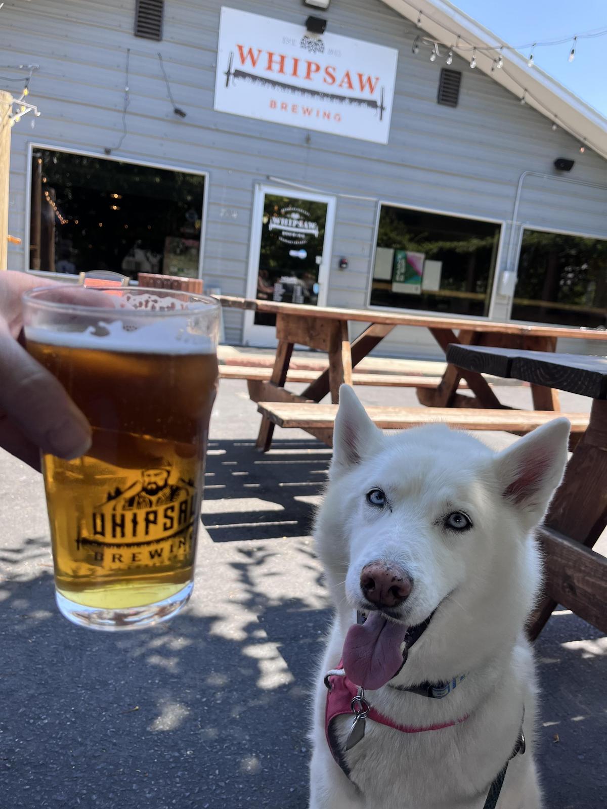 The Honey Hole at Whipsaw Brewery restaurant view 1