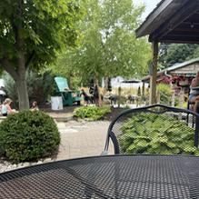 Kitty O'Reilly's Irish Pub restaurant view 1