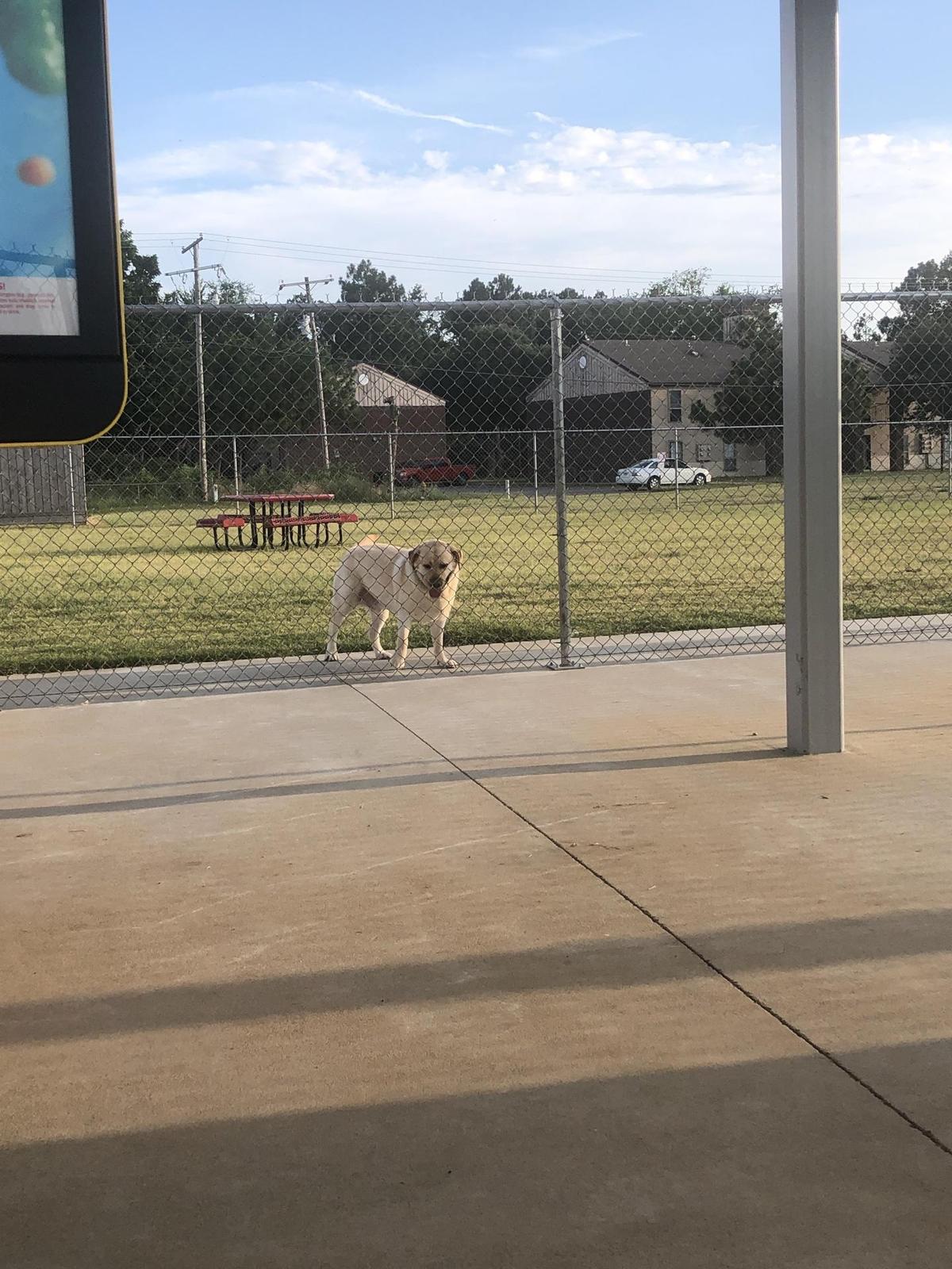 Sonic Drive-In restaurant view 2