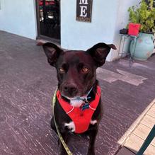 R Bar and Grill restaurant view 1