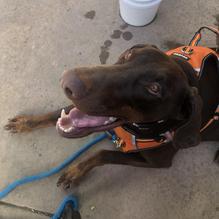 Speakeasy restaurant view 3