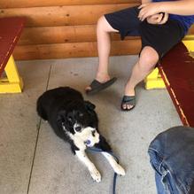 Dam Fish Shack restaurant view 2