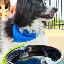 Creve Coeur Lakehouse Bar & Grill restaurant view 2