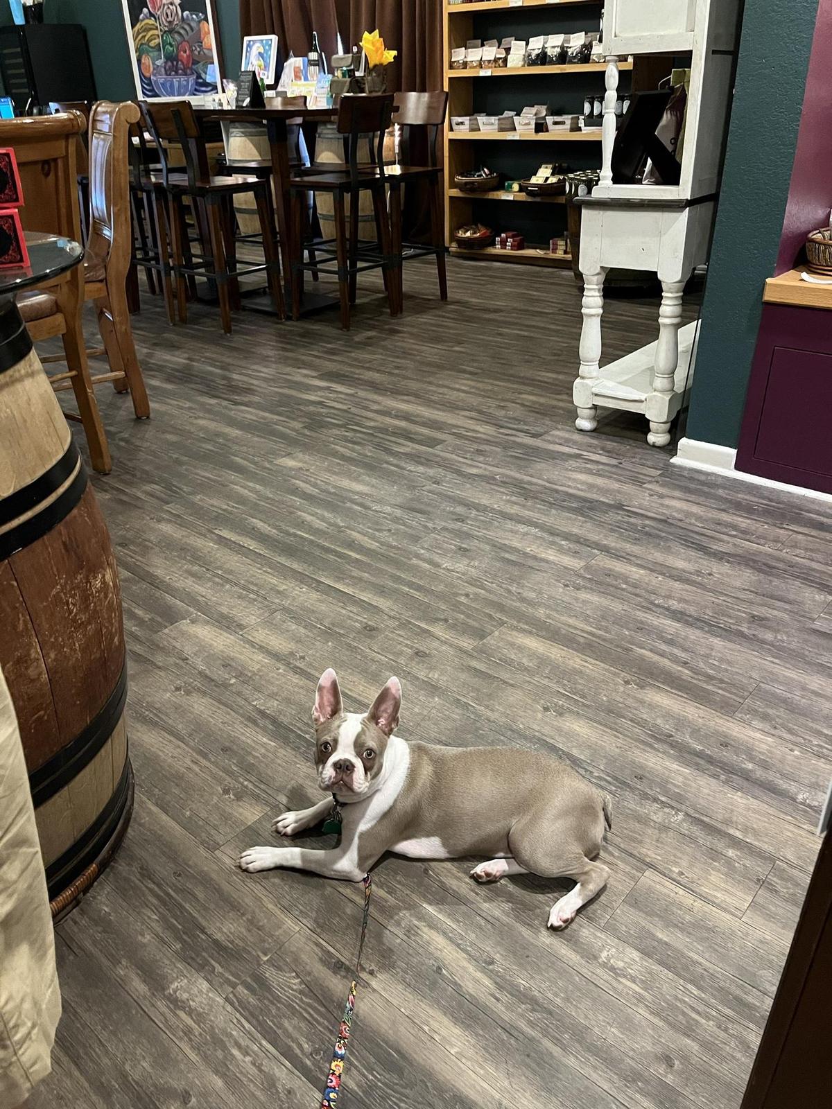 Pecos Flavors Winery + Bistro restaurant view 1