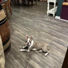 Pecos Flavors Winery + Bistro restaurant view 1