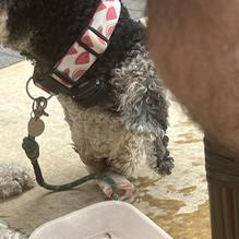 Sa•vór restaurant view 2