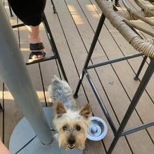 Luv Child restaurant view 1