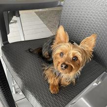 31 Sports Bar & Grille restaurant view 1