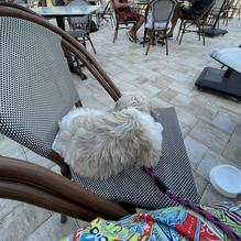 Duffy's Sports Grill restaurant view 1