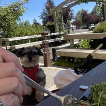 7 Devils Brewing Co. restaurant view 1