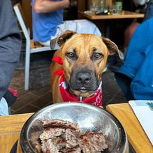 Three Bears Brewery & Restaurant restaurant view 1