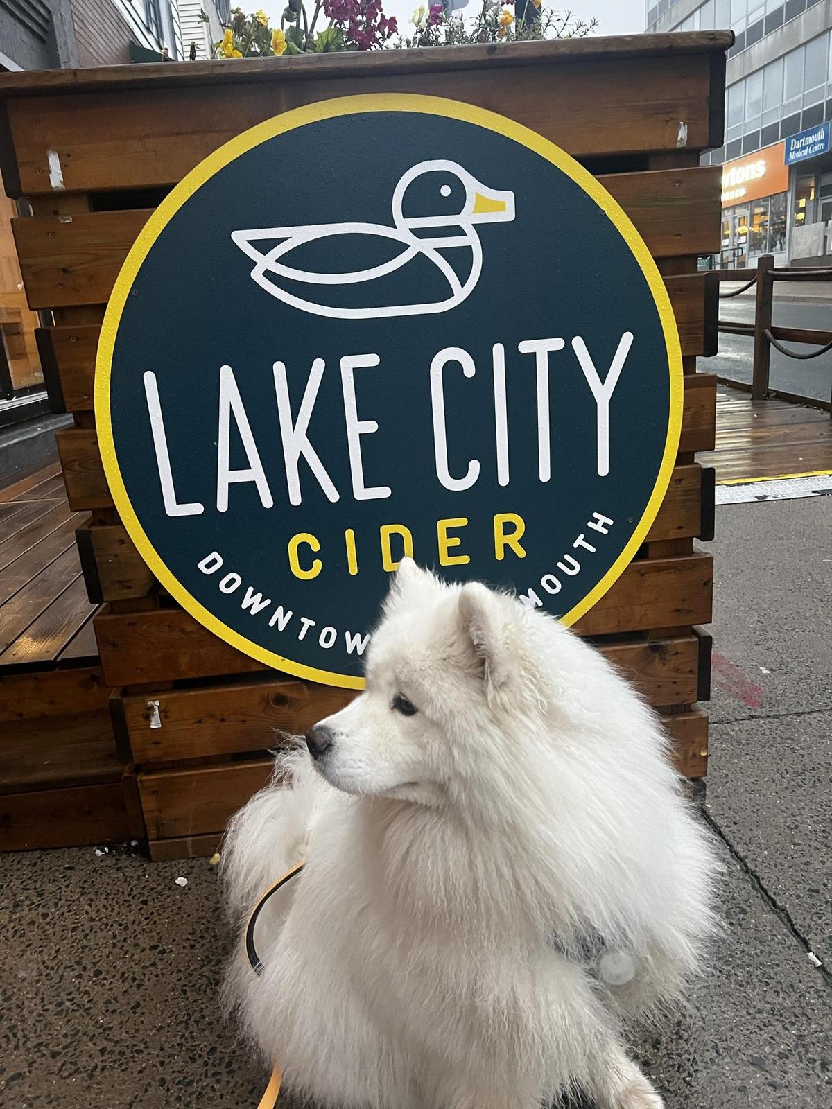 Lake City Cider restaurant view 1