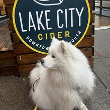 Lake City Cider restaurant view 1