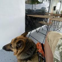 Gratefuel Cafe restaurant view 2