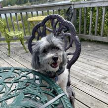 The Upper Crust restaurant view 2