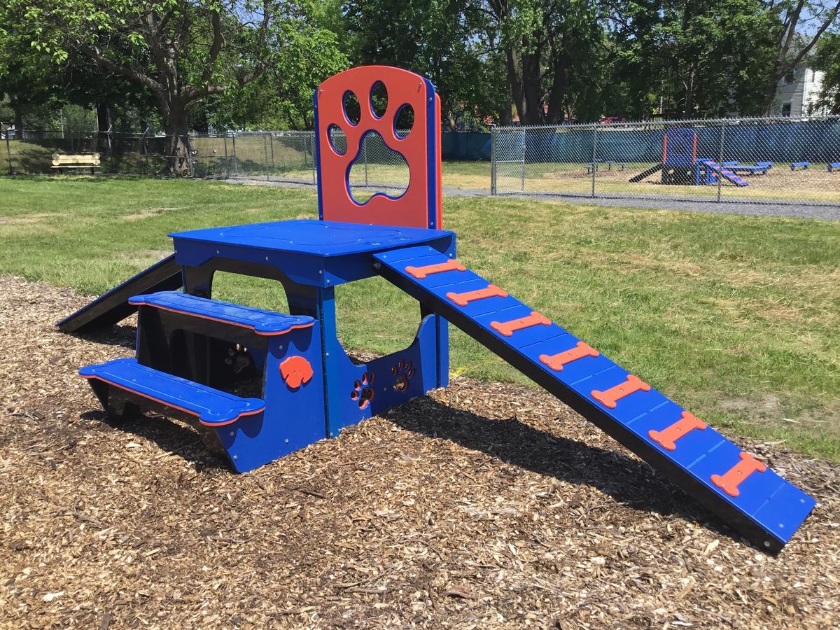 Outdoor Dog Play Equipment