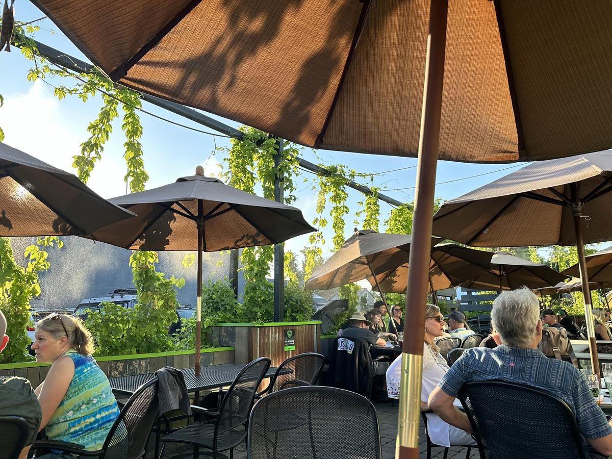Hop Valley Brewing Company restaurant view 2