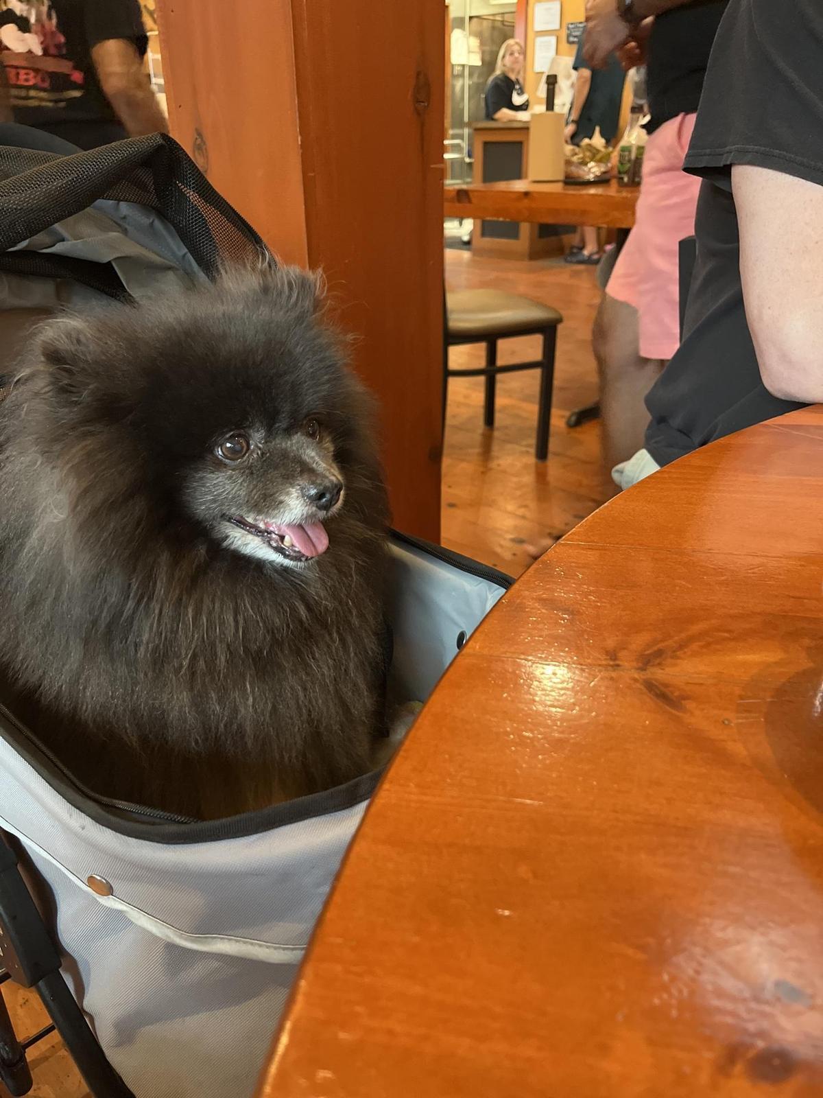 Joe Bosco Authentic Smokehouse BBQ restaurant view 2