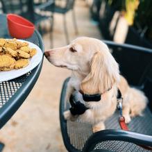 Soul Fish Cafe restaurant view 1