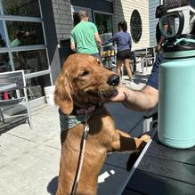 Crêpe Café Sisters restaurant view 1