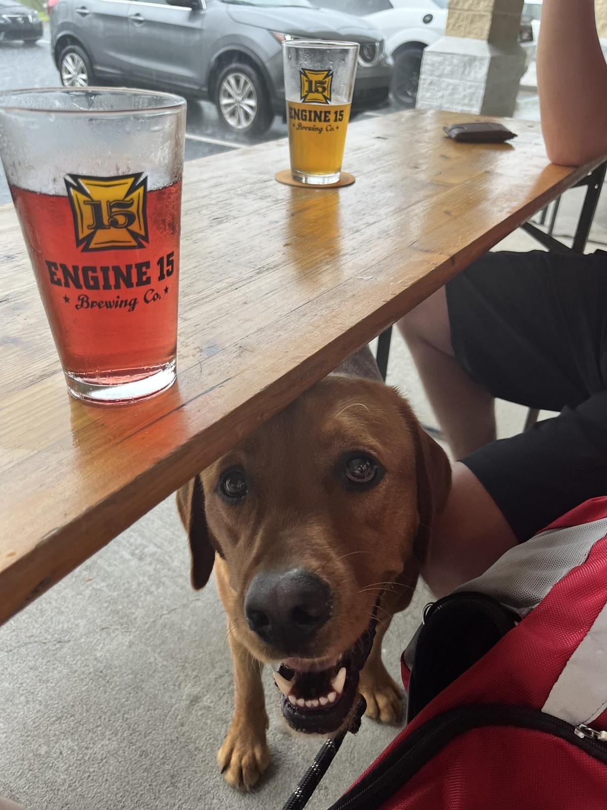 Engine 15 Brewing Co. restaurant view 1