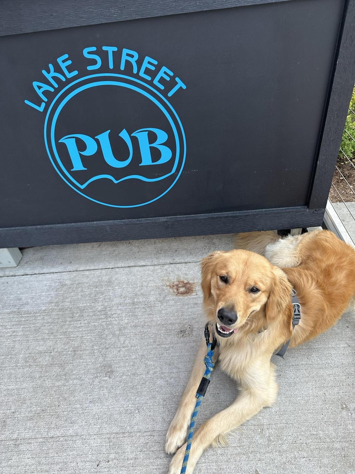 Lake Street Pub restaurant view 1