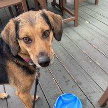 The Pub in the Park restaurant view 2