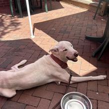 Luther's Rare & Well Done restaurant view 1