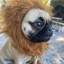 Bayou Teche Brewing restaurant view 2