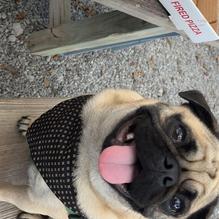 Bayou Teche Brewing restaurant view 1