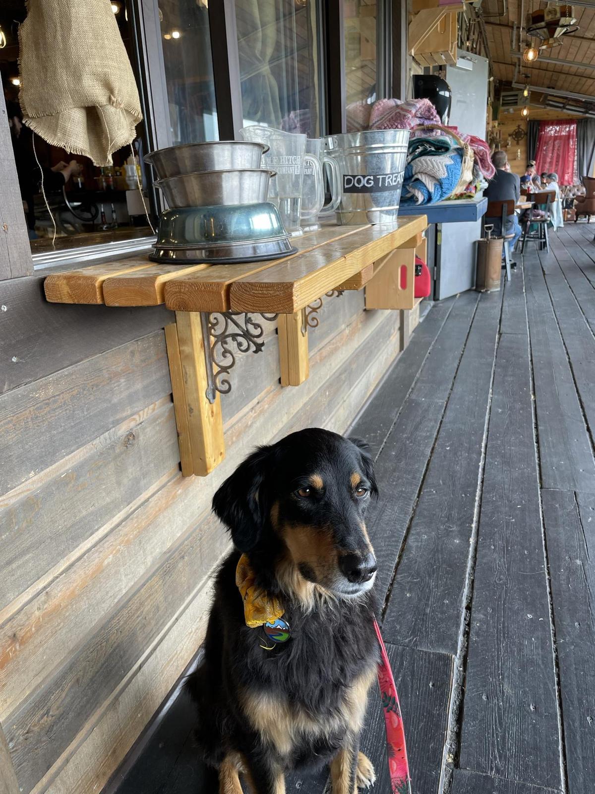 Half Hitch Brewing Company restaurant view 3
