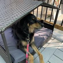 Vin Room Mission restaurant view 3