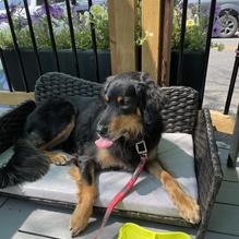 Vin Room Mission restaurant view 2