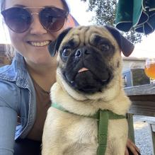 Bayou Teche Brewing restaurant view 3