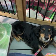 Vin Room Mission restaurant view 1