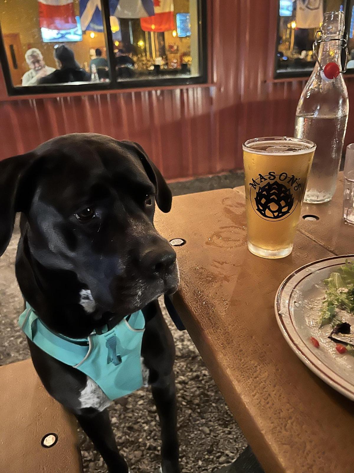 Mason's Brewing Co. restaurant view 4