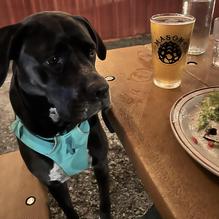 Mason's Brewing Co. restaurant view 4