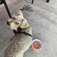 Applebee's Grill + Bar restaurant view 1