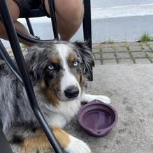 Bridge Street Tap Room restaurant view 2