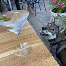 Mike & Anne's Restaurant restaurant view 1