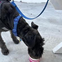 Brayson's Ice Cream Parlor restaurant view 1