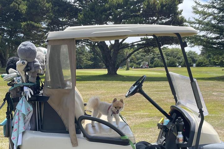 Pet Friendly Agate Beach Golf Course