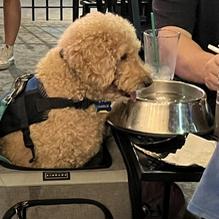 Nickel's Pit BBQ restaurant view 3