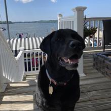 The Fish restaurant view 1