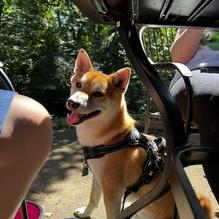 Burgers & Bakery restaurant view 2